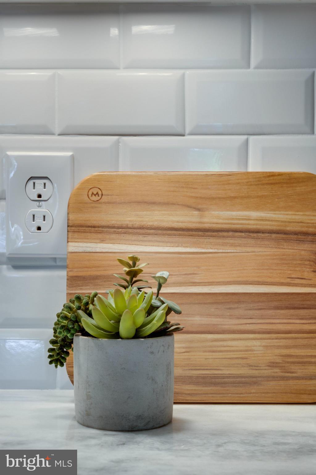 61 N Street Northwest, Unit 2 Washington, DC 20001 - Photo 6 of 28 Detail- Kitchen Backsplash