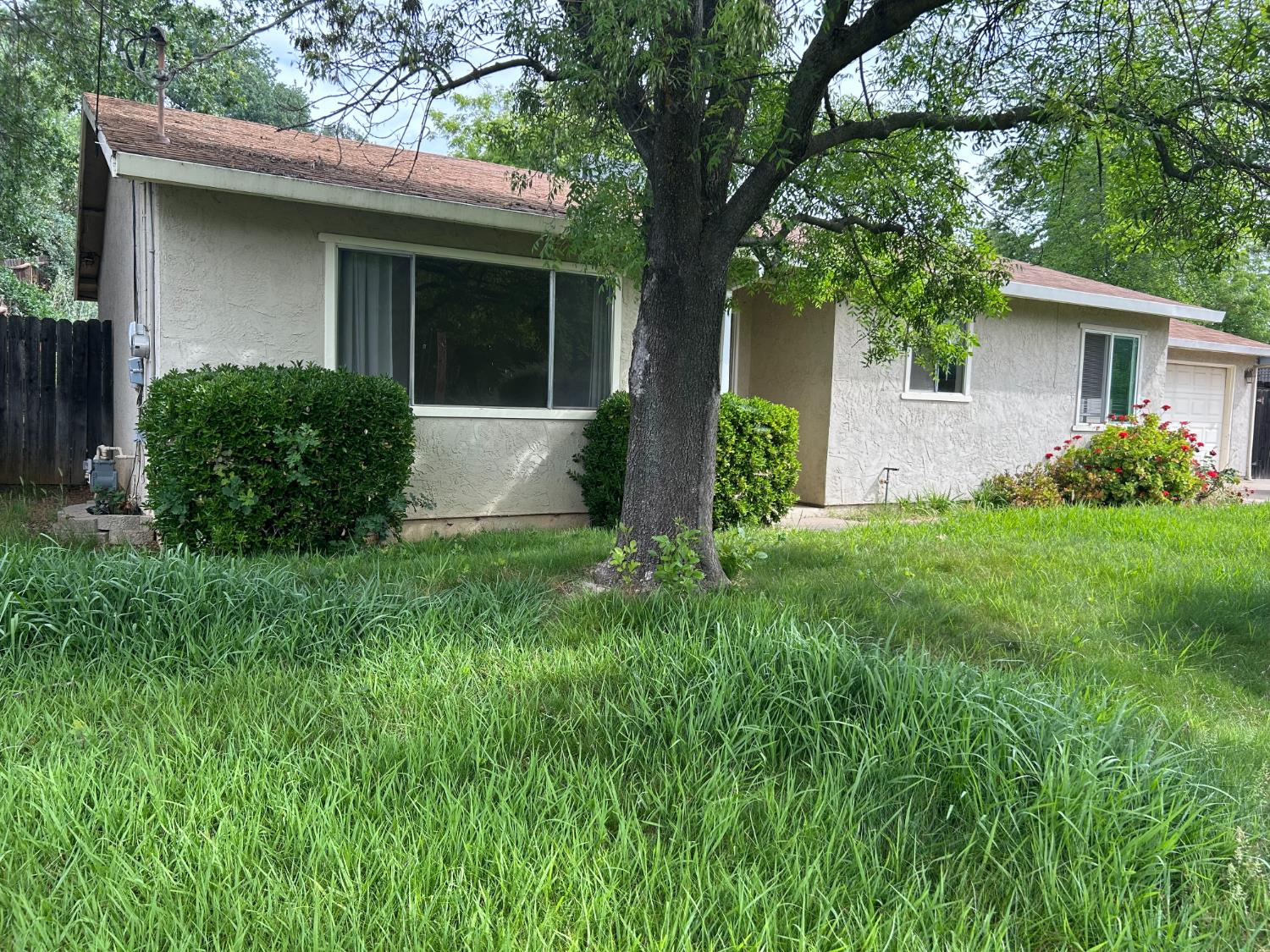 413 Shakeley Lane Ione, CA 95640 - Photo 1 of 11 a view of a house with a yard and a large tree