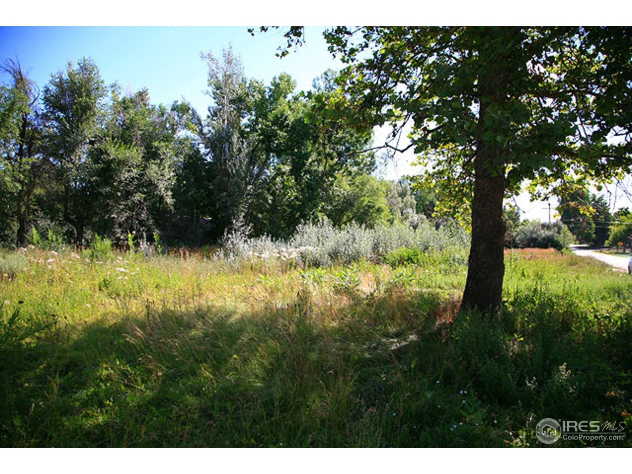932 Gapter Road Boulder, CO 80303 - Photo 2 of 5