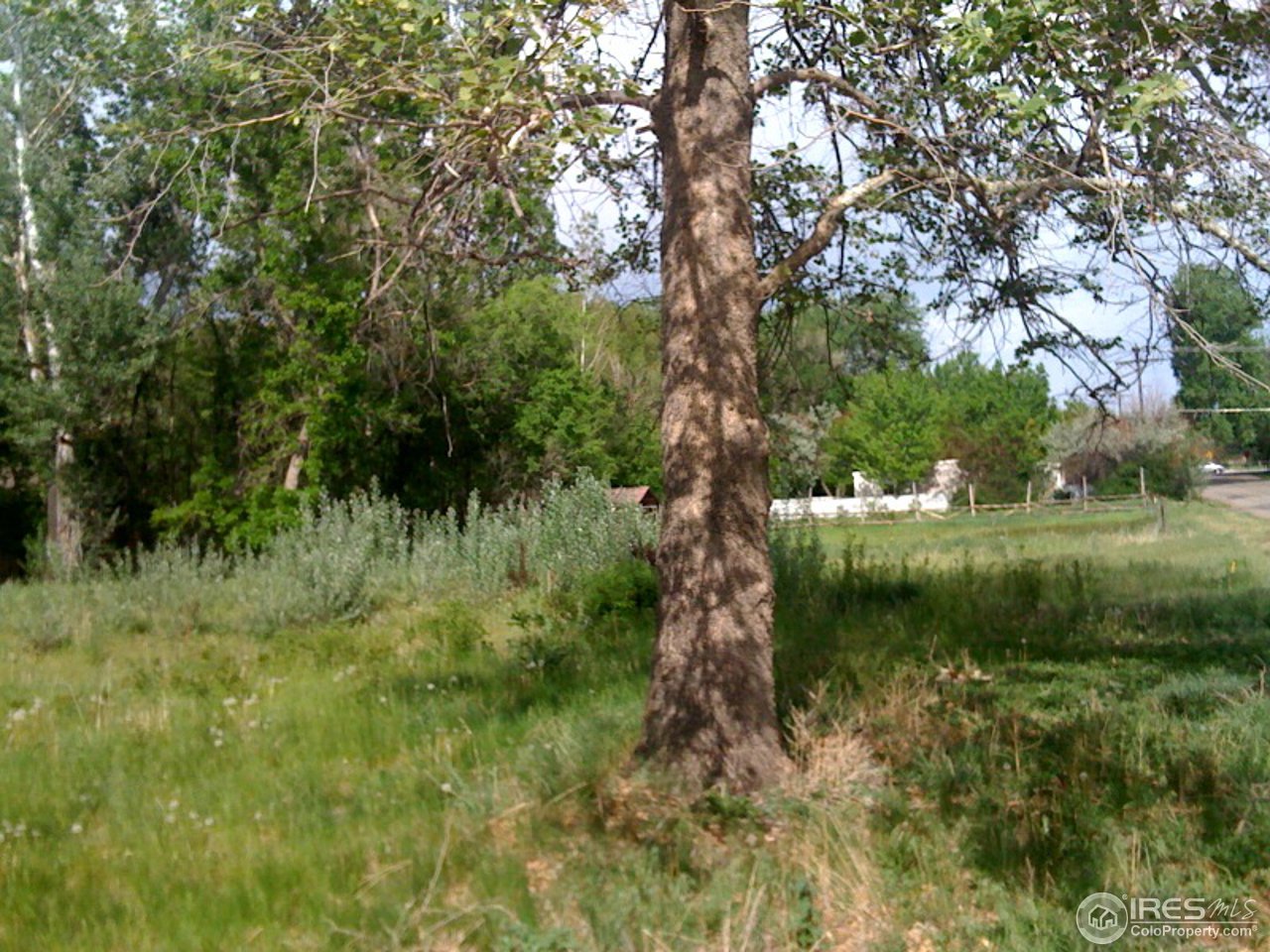 932 Gapter Road Boulder, CO 80303 - Photo 5 of 5 a view of lake with green space
