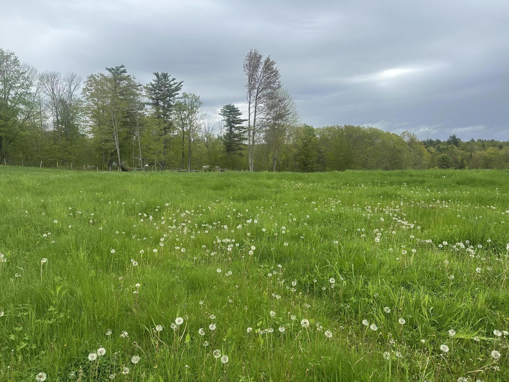 0 Heath Road Whitefield, ME 04353 - Photo 2 of 30 IMG_2161