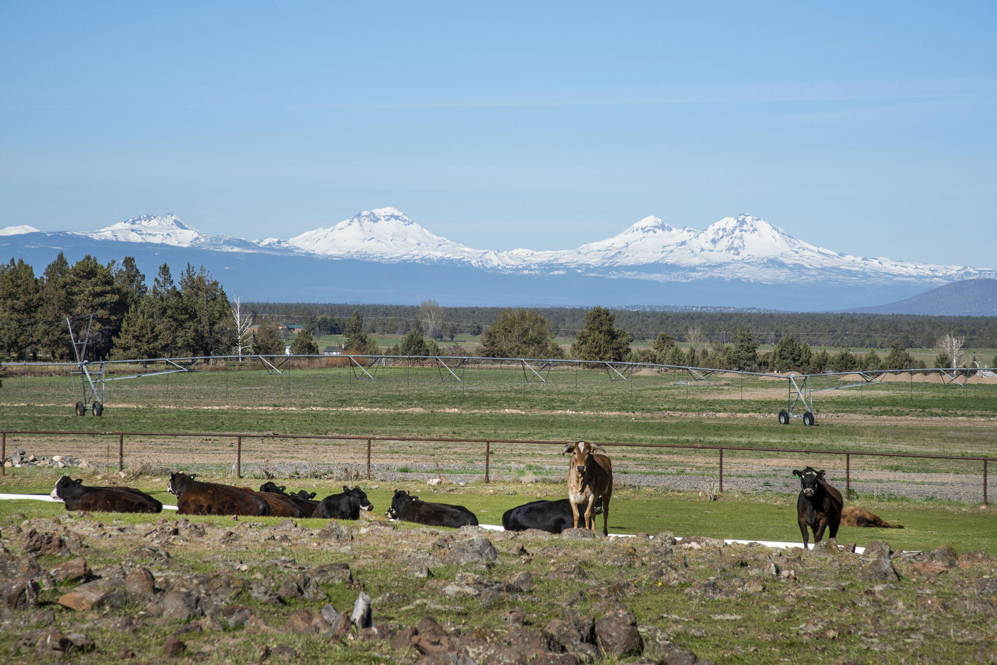 2441 Minson Road Powell Butte, OR 97753 - Photo 34 of 45 25-web-or-mls-DSC_7290