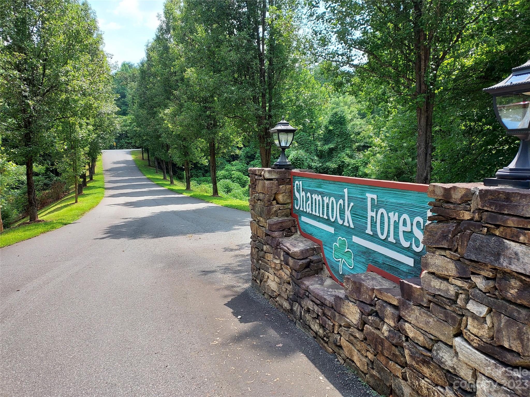 1534 State Road, Unit 67 Columbus, NC 28722 - Photo 5 of 8 a view of a street with large trees