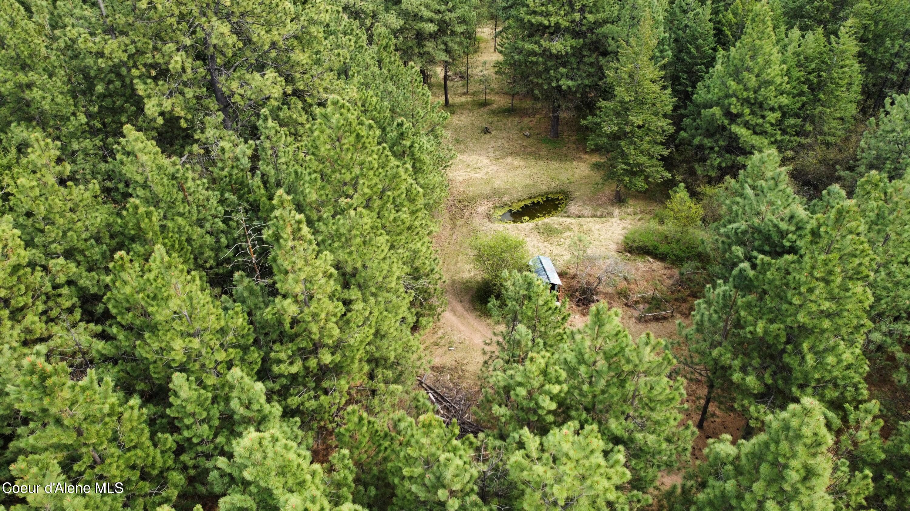 28590 South Fir Road St. Maries, ID 83861 - Photo 11 of 33 dji_fly_20250426_135320_725_174570143082