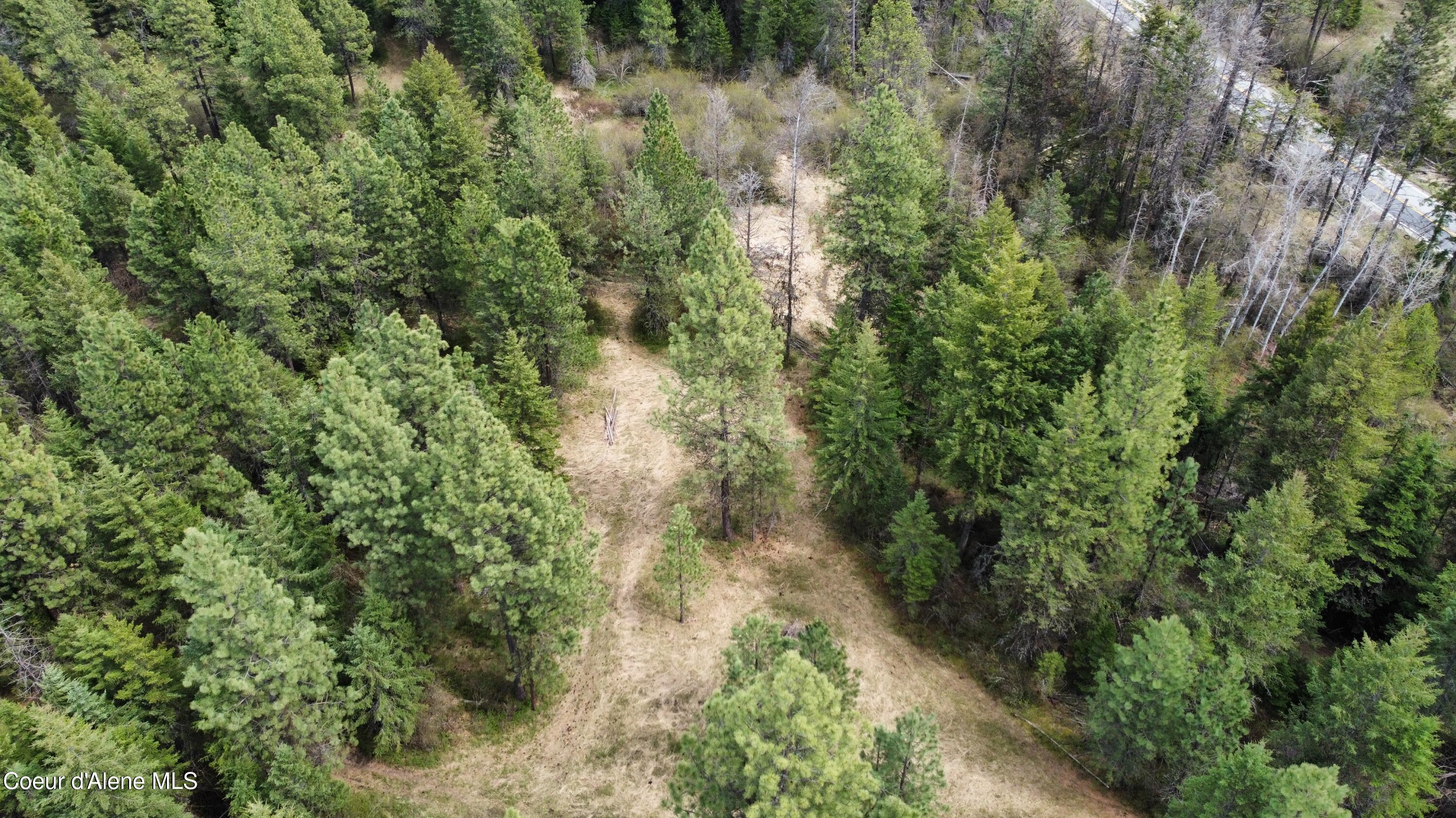 28590 South Fir Road St. Maries, ID 83861 - Photo 12 of 33 dji_fly_20250426_135334_726_174570142729