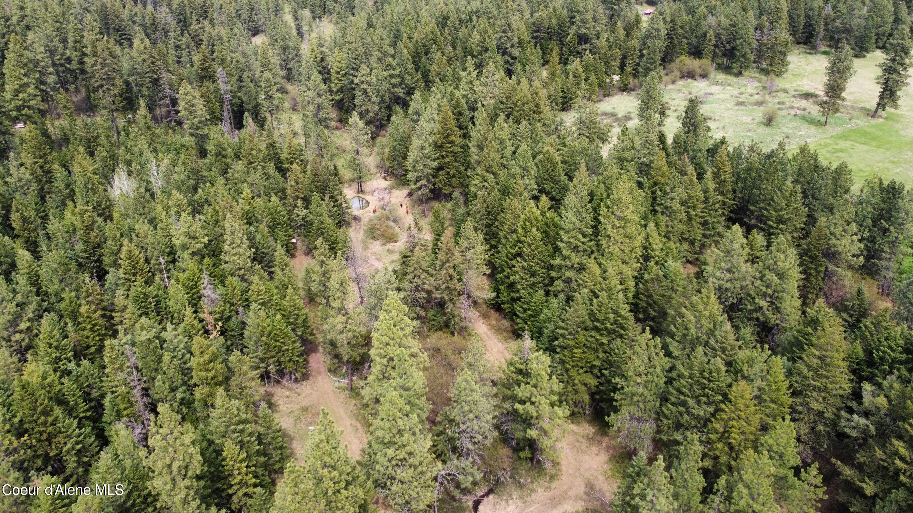 28590 South Fir Road St. Maries, ID 83861 - Photo 14 of 33 dji_fly_20250426_135412_728_174570141972