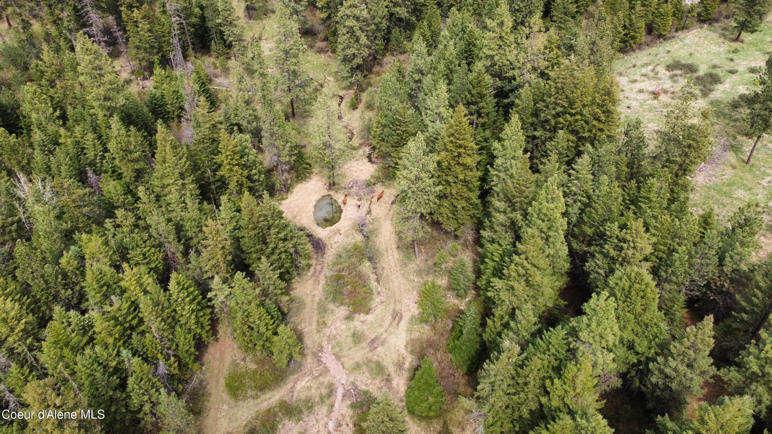 28590 South Fir Road St. Maries, ID 83861 - Photo 15 of 33 dji_fly_20250426_135430_729_174570141627
