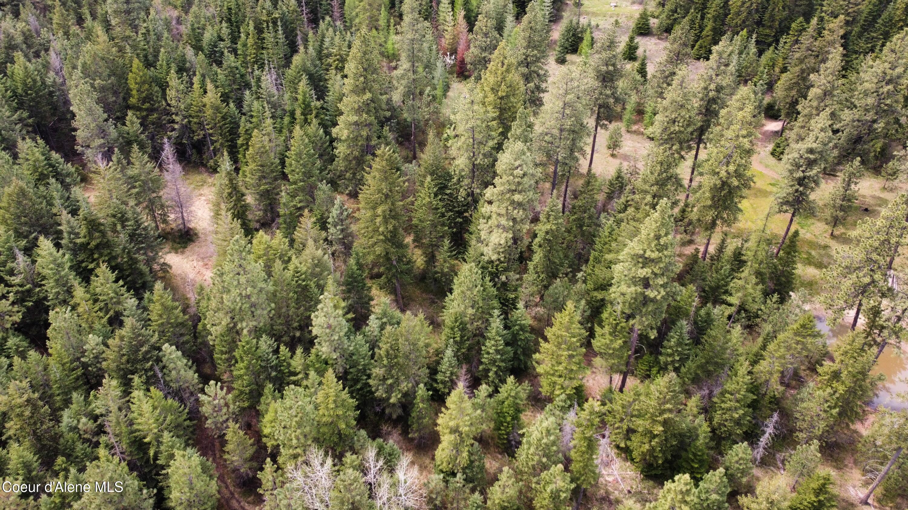 28590 South Fir Road St. Maries, ID 83861 - Photo 16 of 33 dji_fly_20250426_135448_730_174570141322