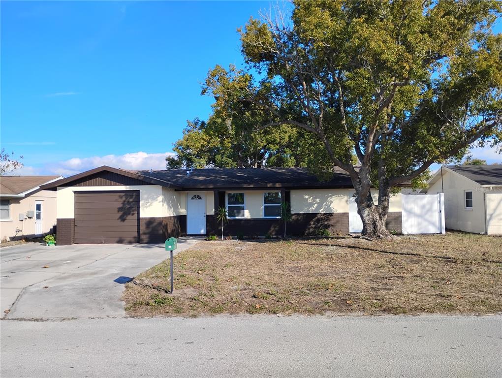 11234 Areca Drive Port Richey, FL 34668 - Photo 2 of 24