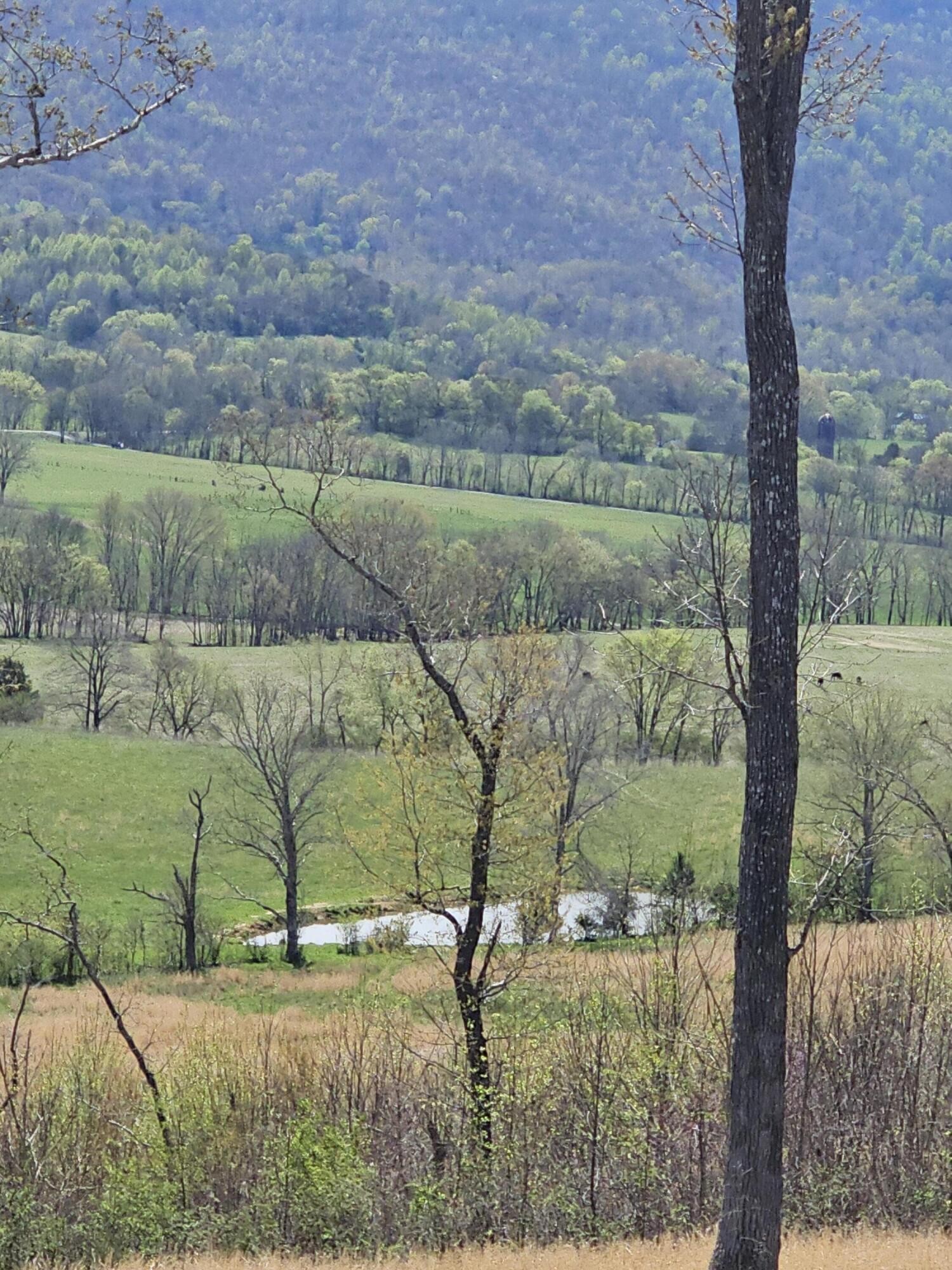 495 Lower East Valley Road Dunlap, TN 37327 - Photo 3 of 58 Gallery Image 3
