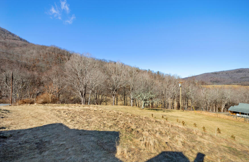 3110 Jamison Mountain Road Covington, VA 24426 - Photo 58 of 75 IMG_9171