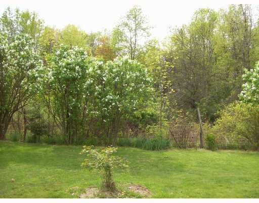 295 School Road Dawson, PA 15428 - Photo 5 of 8 Land/Lot. View of propety