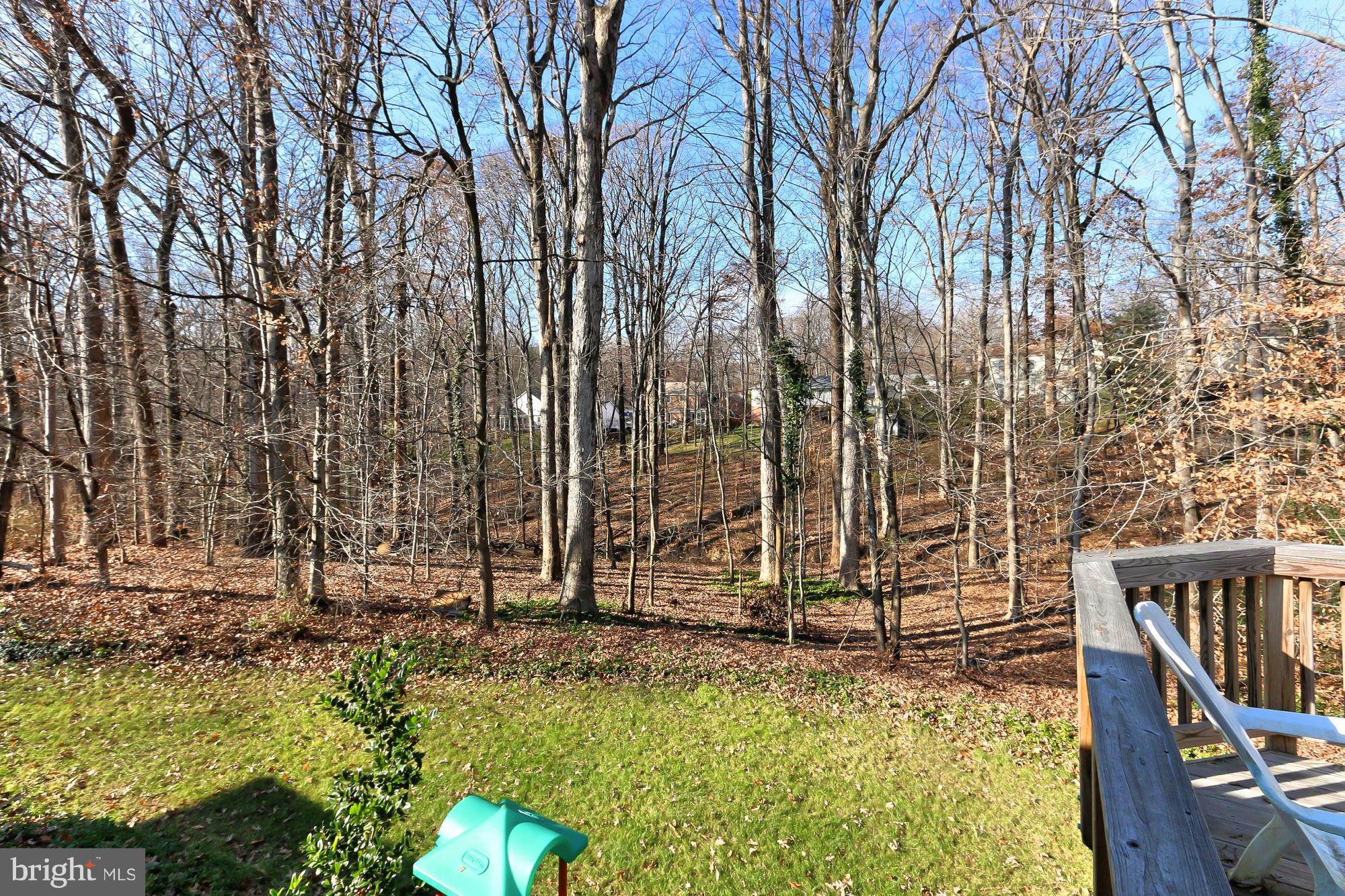6014 Commack Court Springfield, VA 22152 - Photo 40 of 44 View from deck