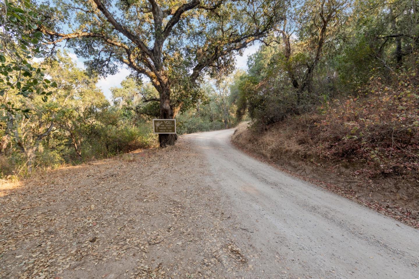22200 Parrott Ranch Road Carmel Valley, CA 93924 - Photo 51 of 64 Gallery Image 51