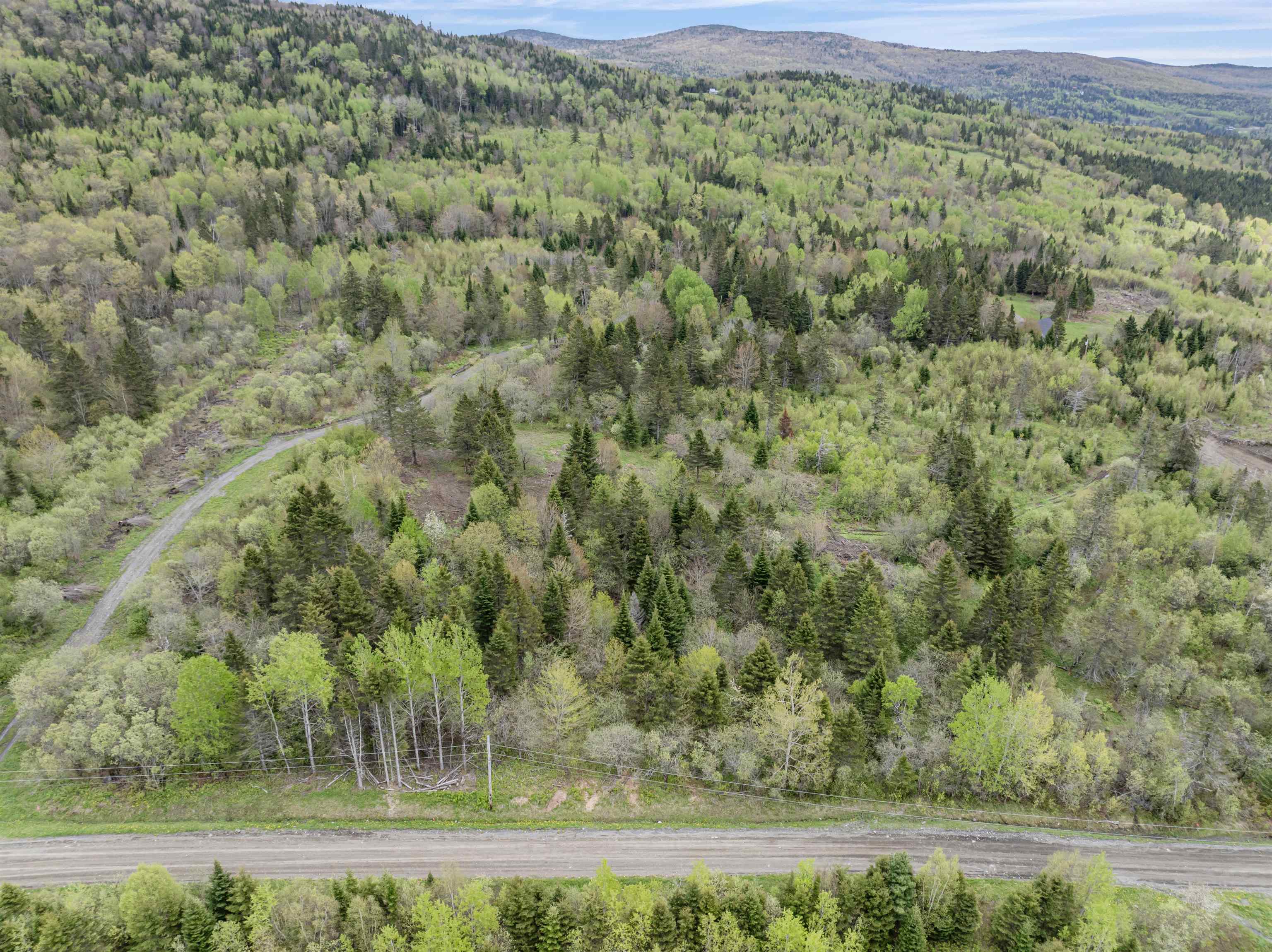 Lot 8 Holden Hill Road Stewartstown, NH 03576 - Photo 9 of 12