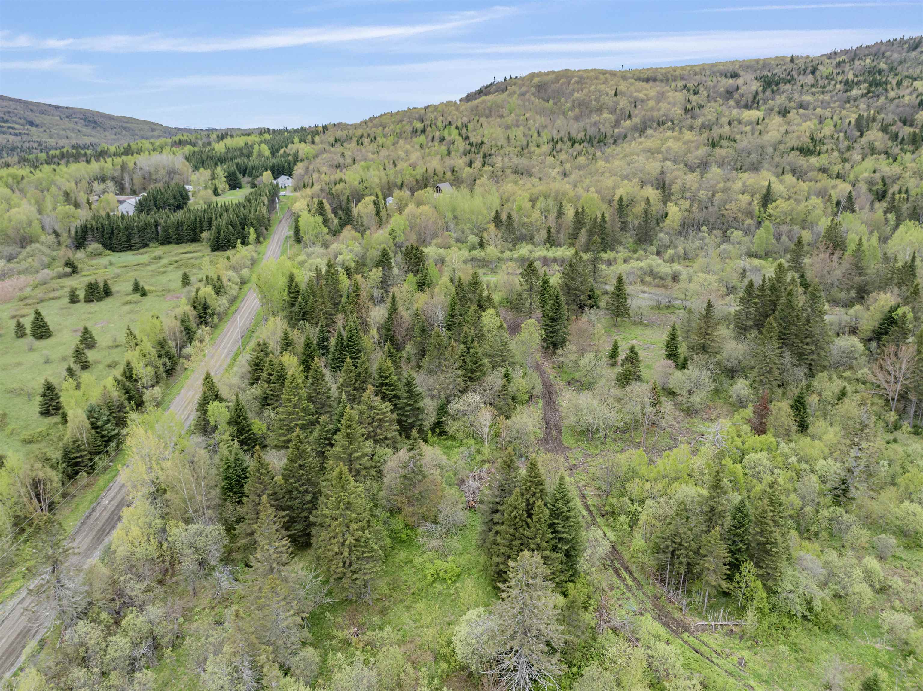 Lot 8 Holden Hill Road Stewartstown, NH 03576 - Photo 10 of 12