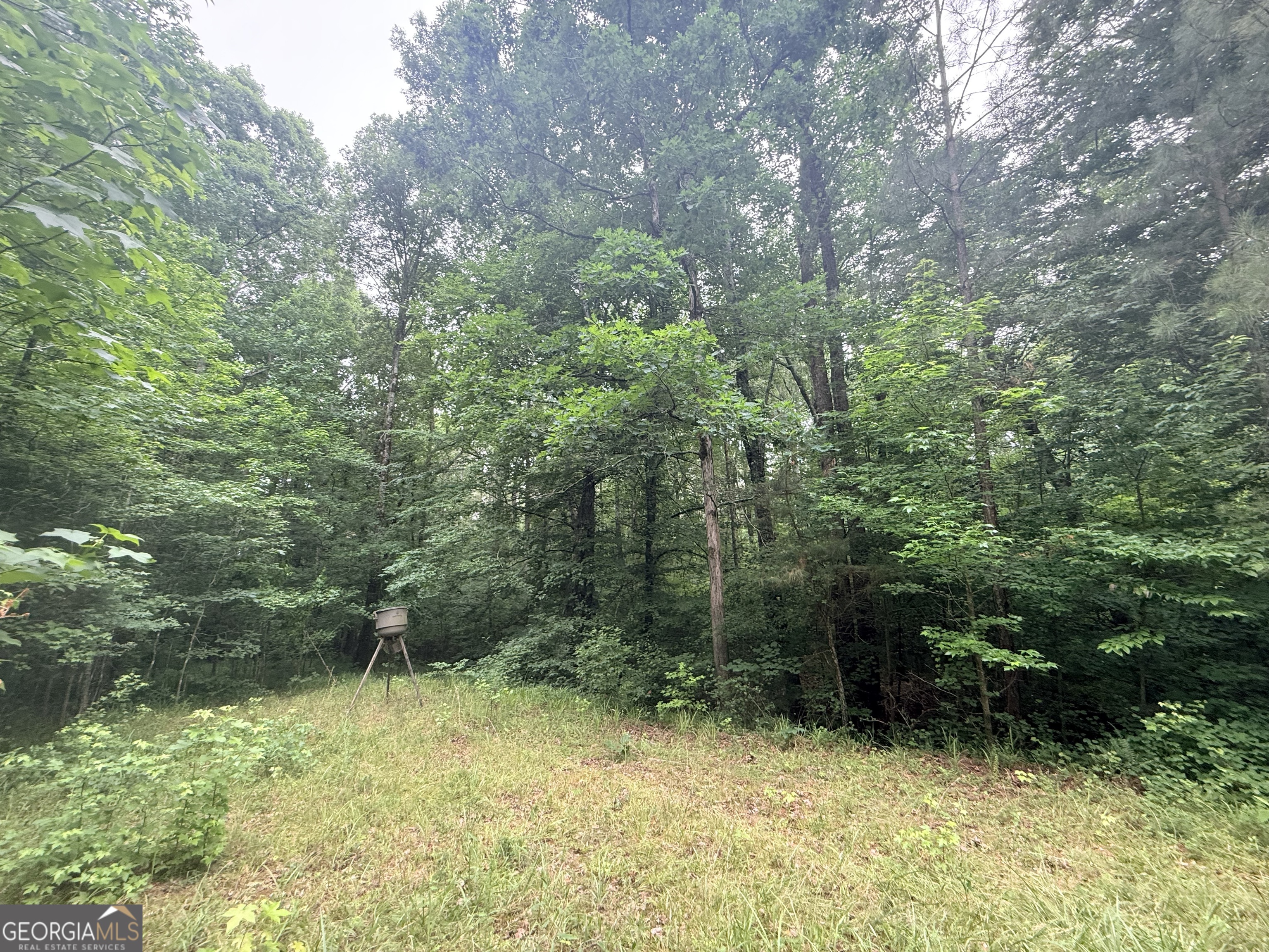 3 Bethesda Church Road Lexington, GA 30648 - Photo 27 of 60
