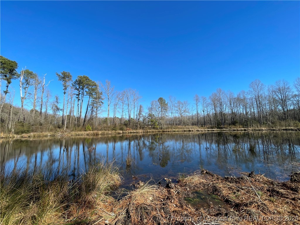 2232 Adcock Road Lillington, NC 27546 - Photo 40 of 41