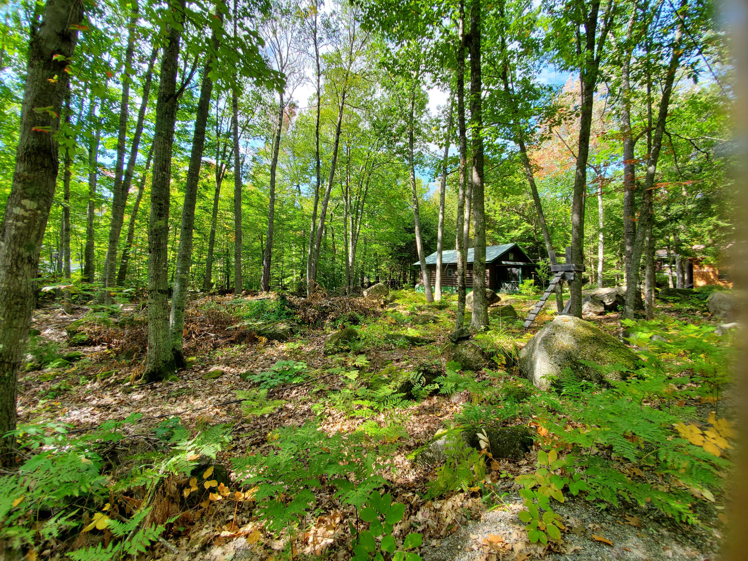 20 Magnolia Road Dedham, ME 04429 - Photo 29 of 60 20190926_120932