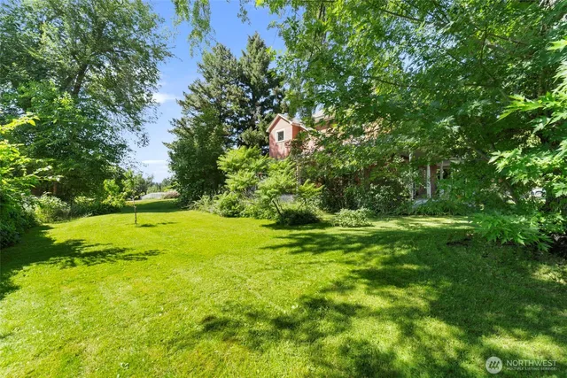 a view of a yard with a large trees