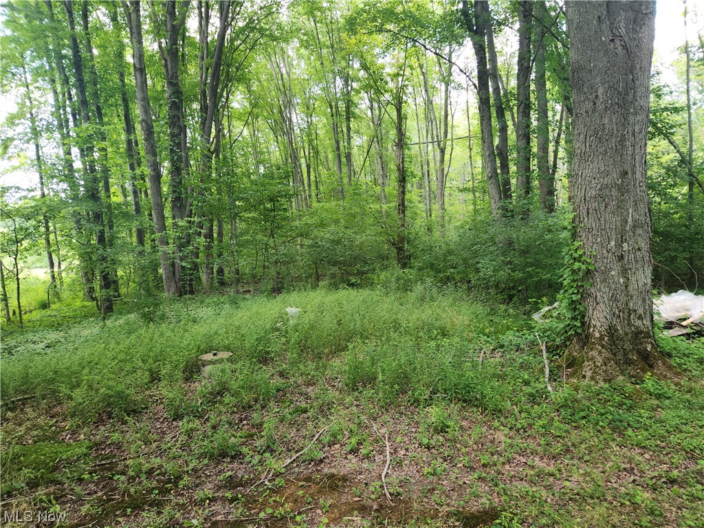 4265 Highway 6 Rome, OH 44085 - Photo 8 of 27