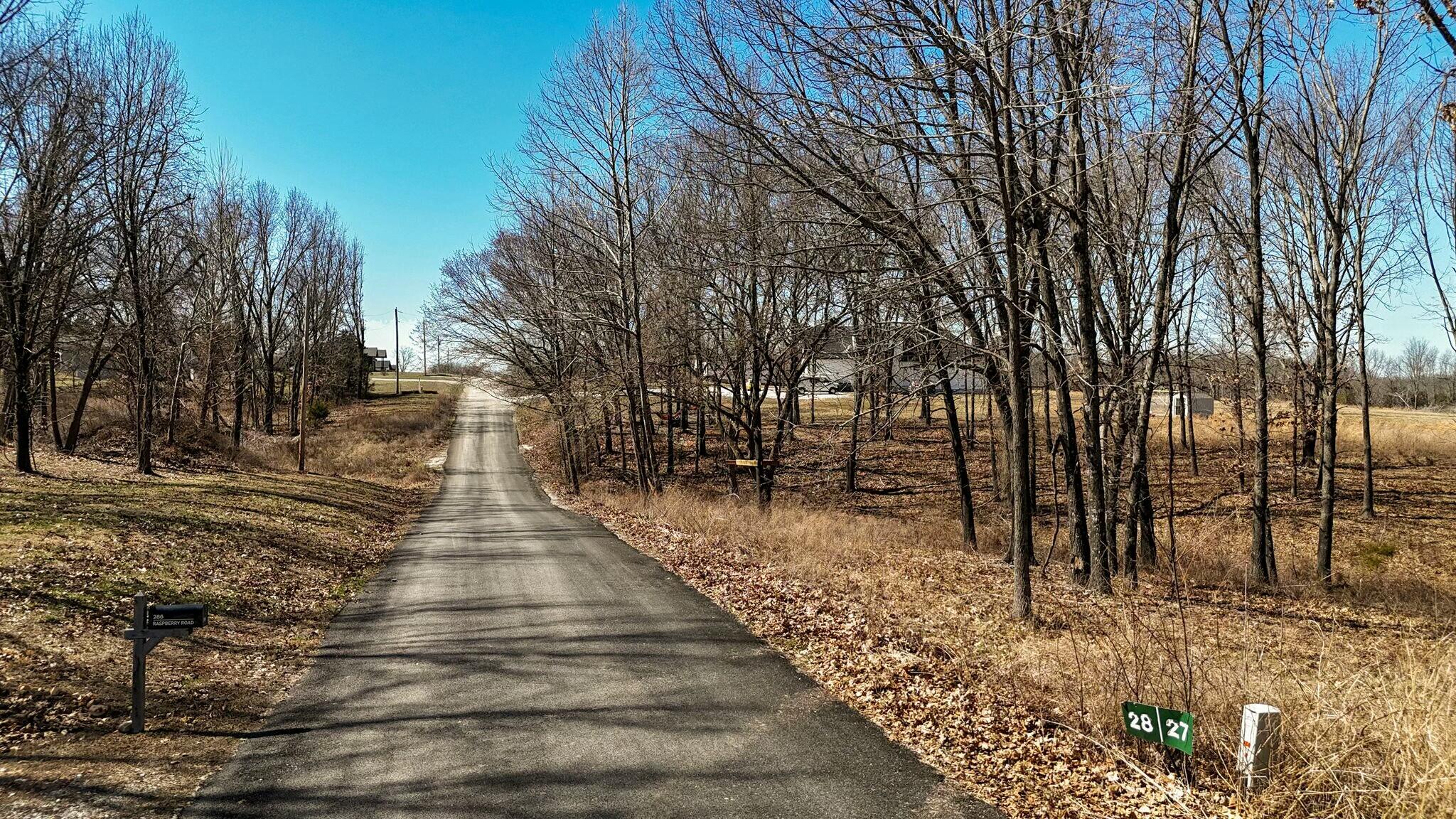 331 Rasberry Road Highlandville, MO 65669 - Photo 13 of 20 tempImageivUcJt