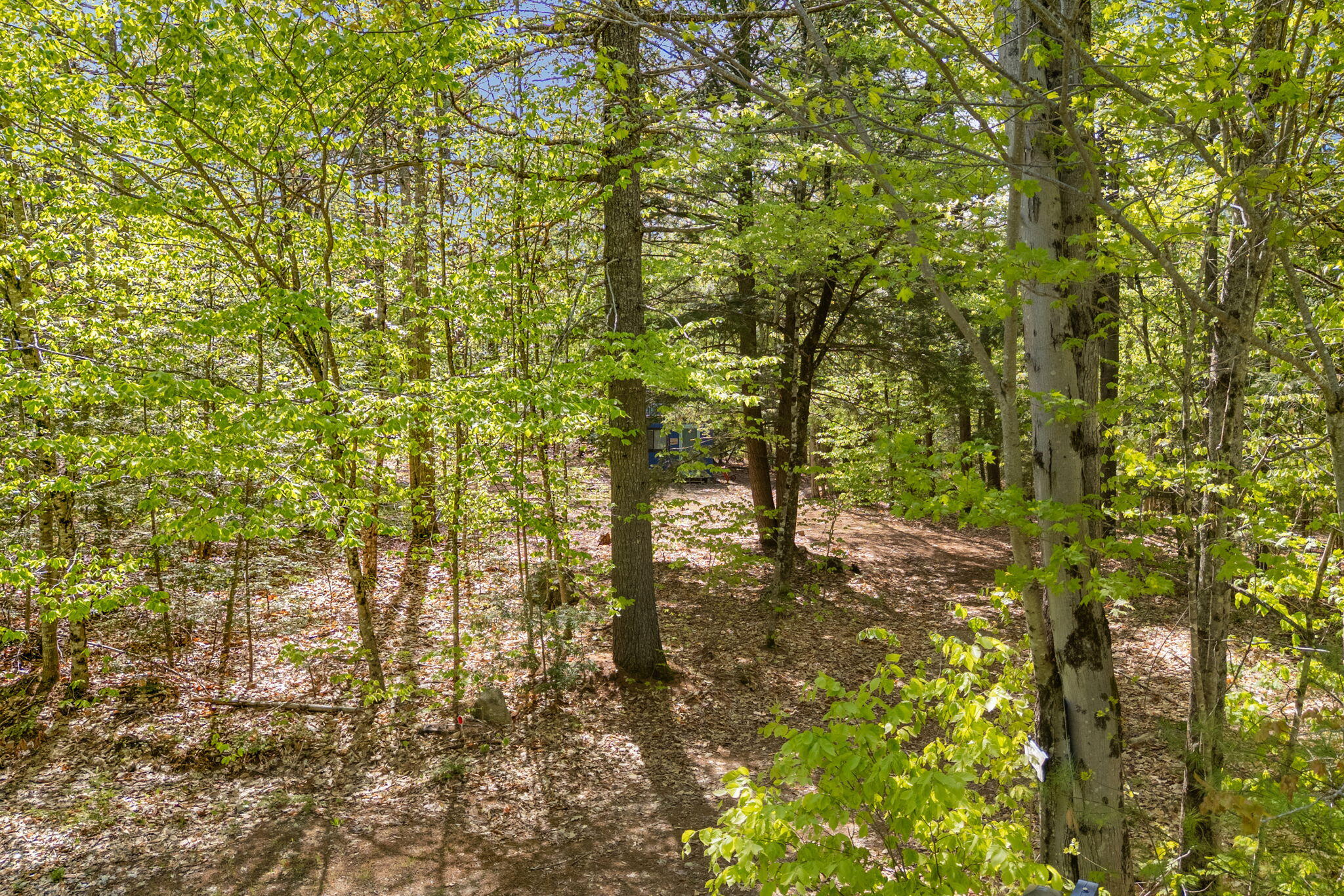 158 Rocky Road Otisfield, ME 04270 - Photo 8 of 23 8-web-or-mls-158-rocky-rd