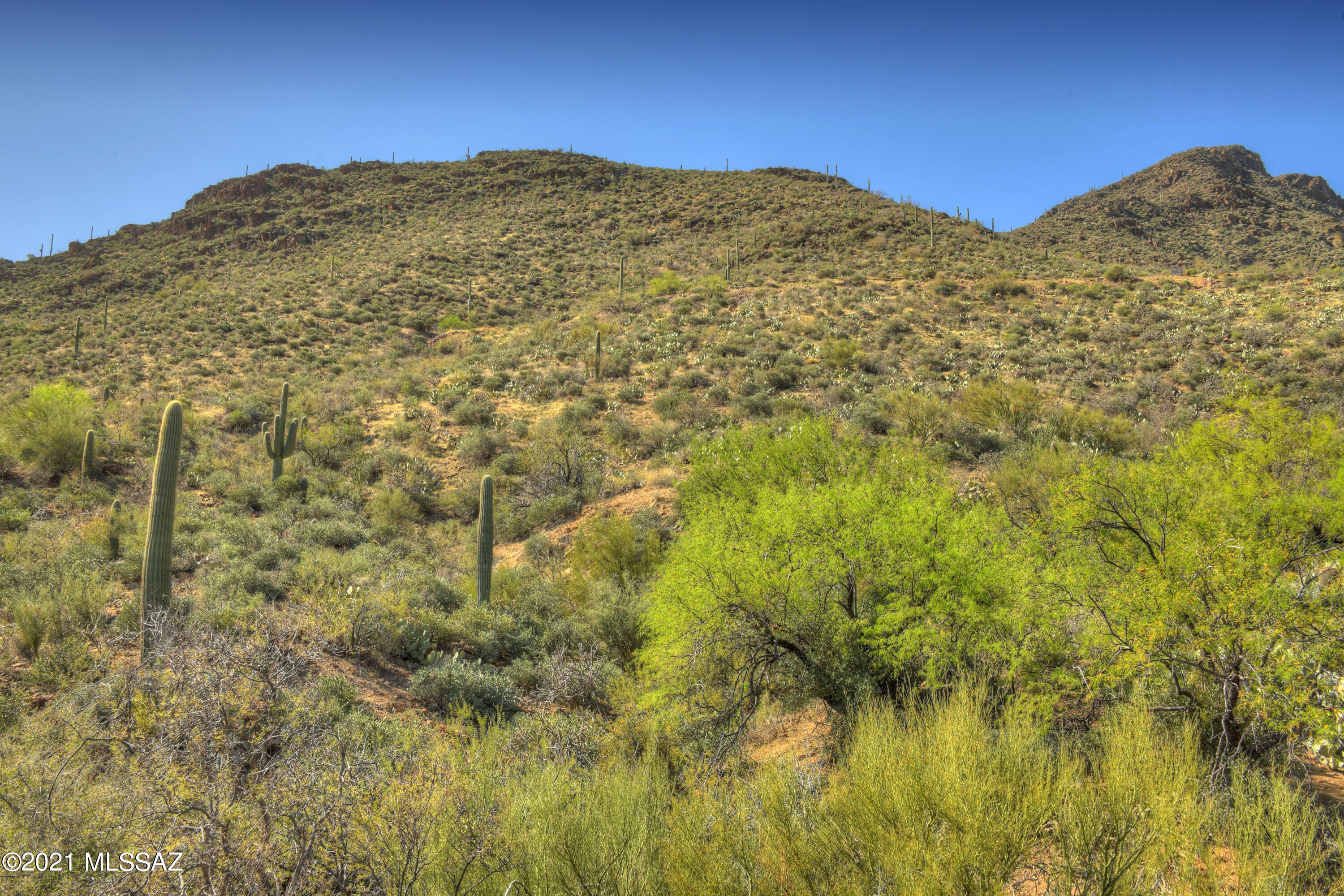 6241 West Trails End Road, Unit 17 Tucson, AZ 85745 - Photo 23 of 24