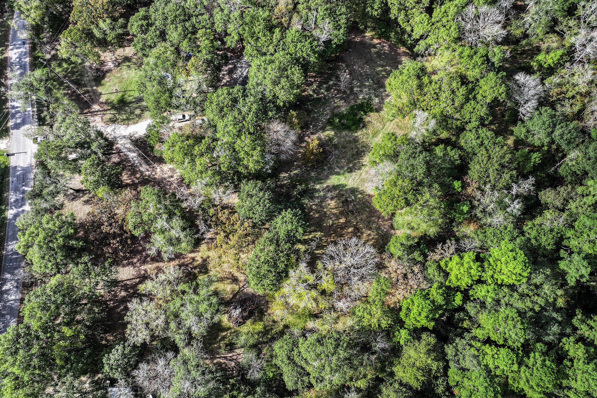 106 Roy Webb Road Huntsville, TX 77320 - Photo 12 of 23