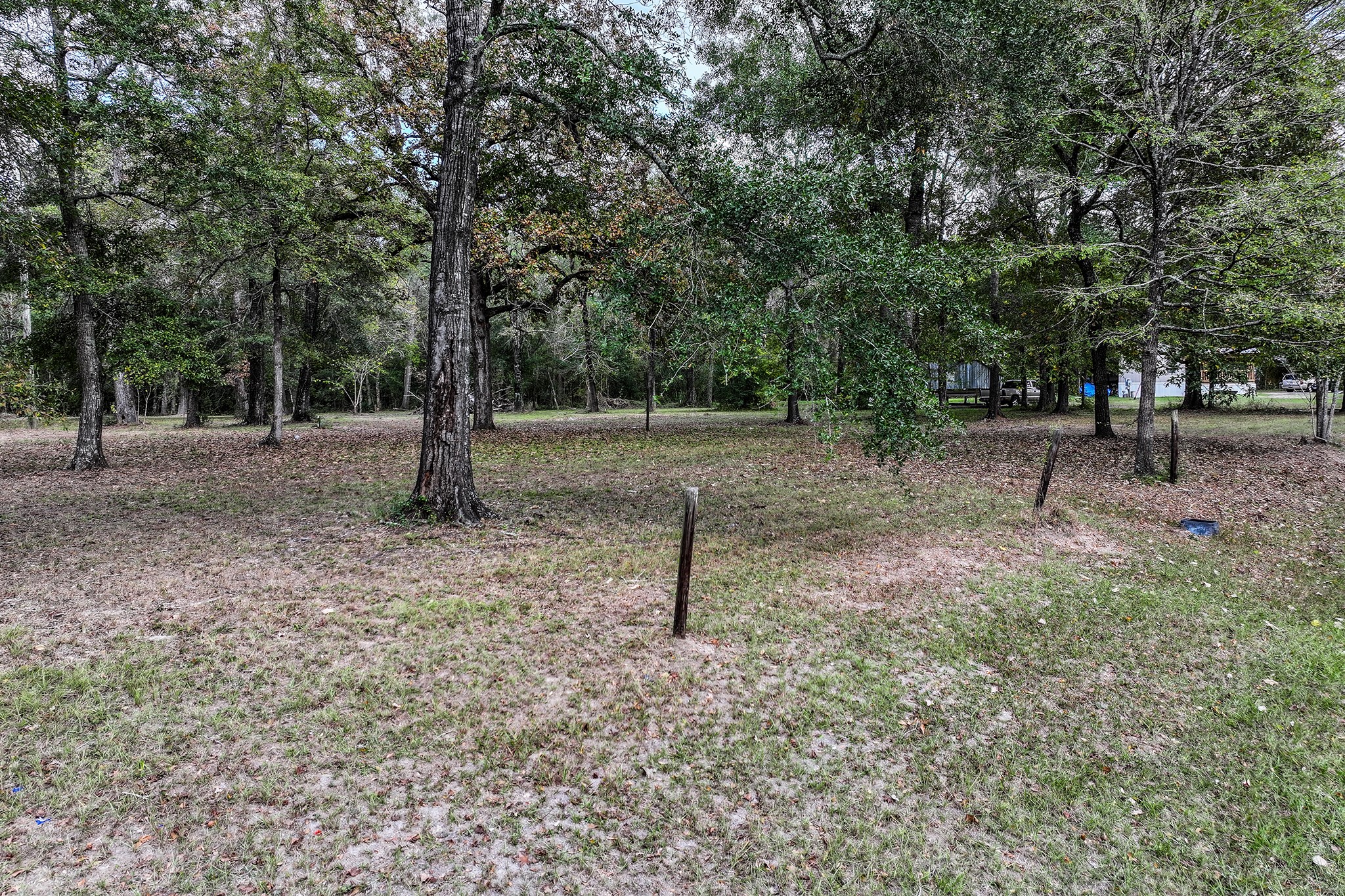 106 Roy Webb Road Huntsville, TX 77320 - Photo 13 of 23 a view of outdoor space with trees