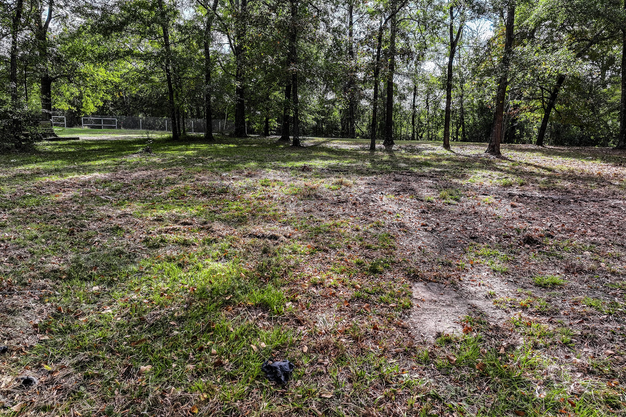 106 Roy Webb Road Huntsville, TX 77320 - Photo 14 of 23 a view of a forest with trees