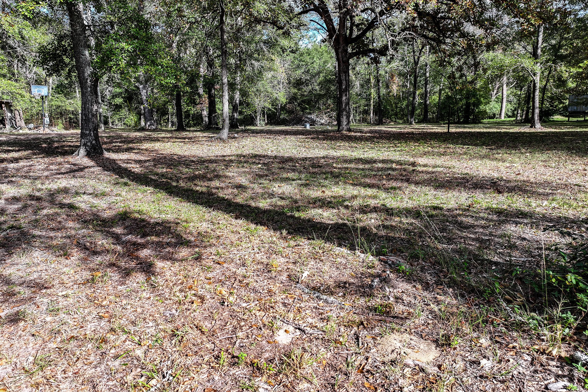 106 Roy Webb Road Huntsville, TX 77320 - Photo 17 of 23 a view of a yard with trees