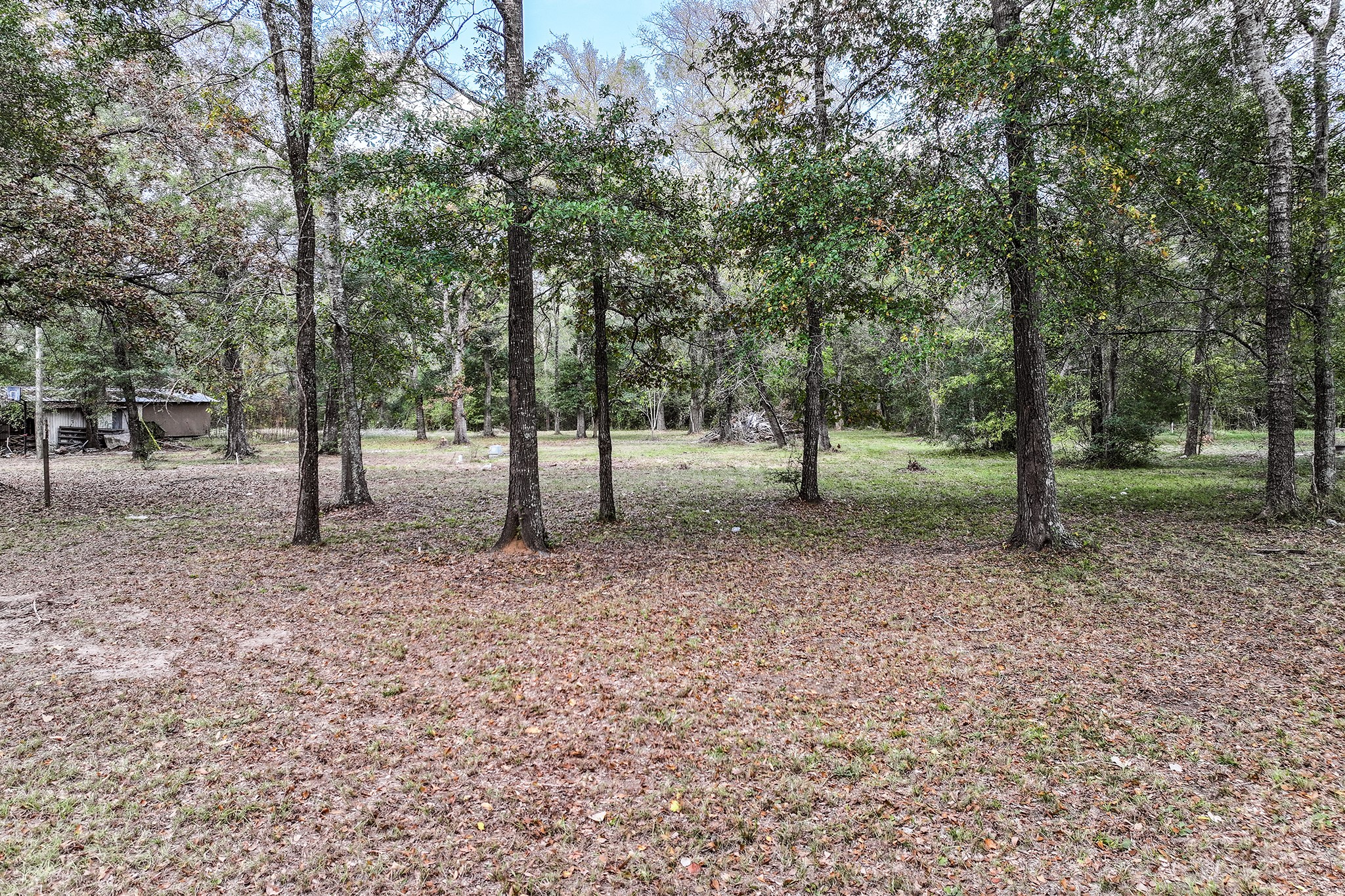 106 Roy Webb Road Huntsville, TX 77320 - Photo 20 of 23 a view of outdoor space with lots of trees
