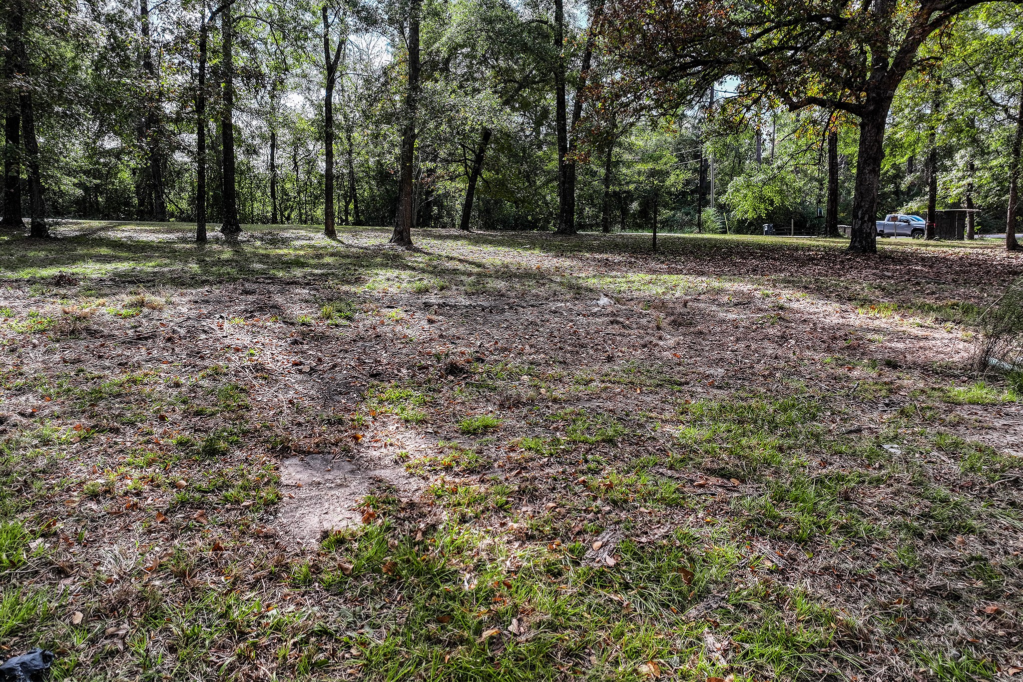 106 Roy Webb Road Huntsville, TX 77320 - Photo 2 of 23 a view of a dirt field with trees in the background