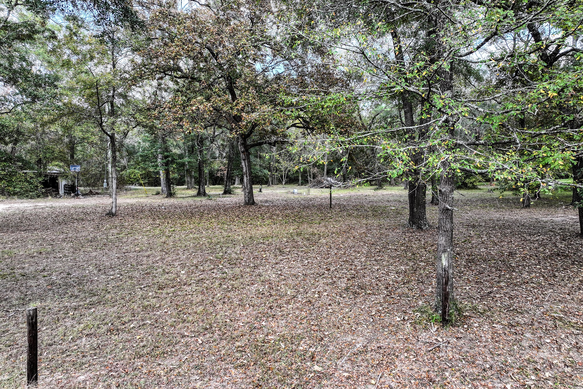 106 Roy Webb Road Huntsville, TX 77320 - Photo 22 of 23 a view of a yard with a tree