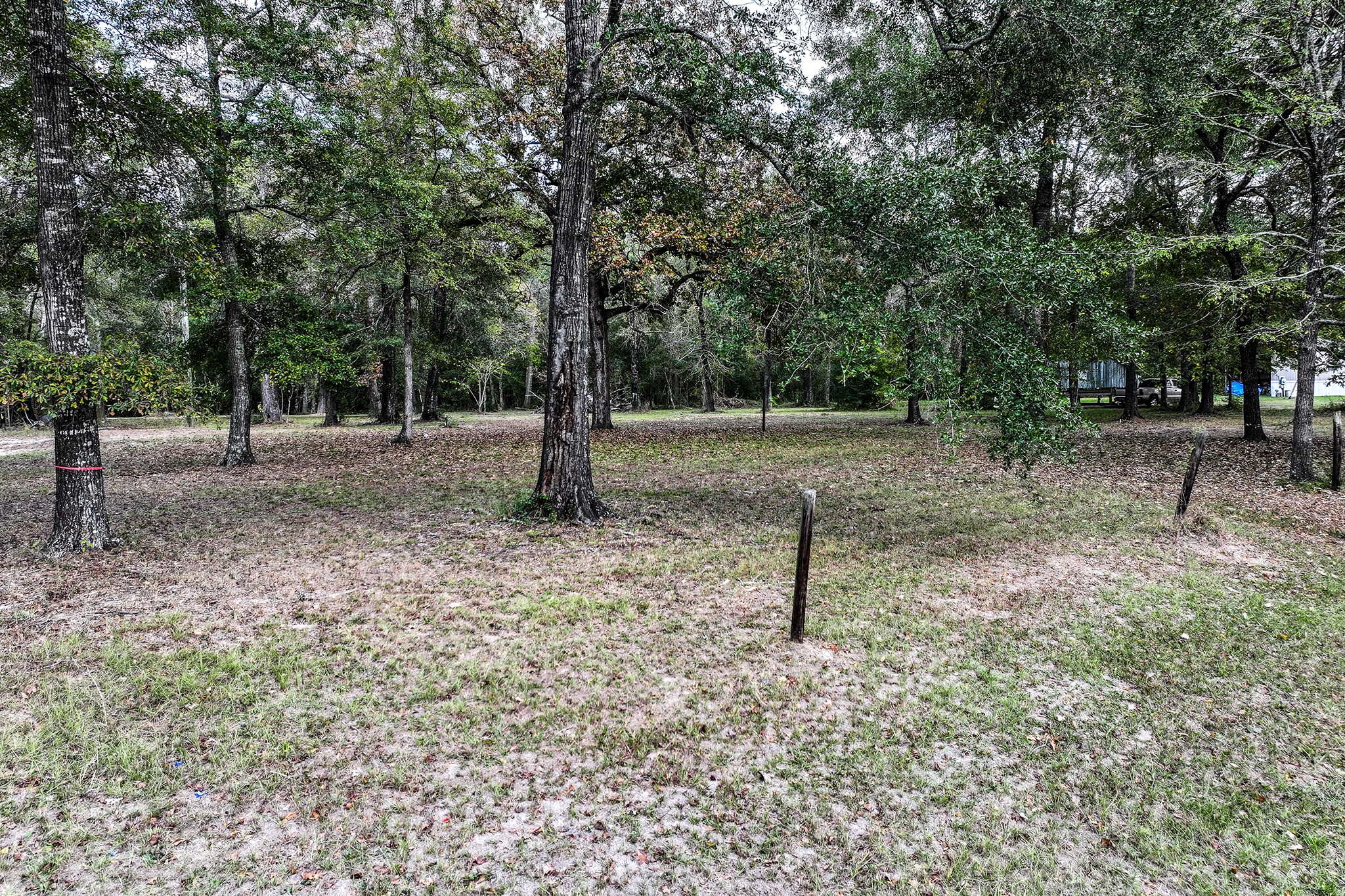 106 Roy Webb Road Huntsville, TX 77320 - Photo 23 of 23 a backyard of a house with lots of green space