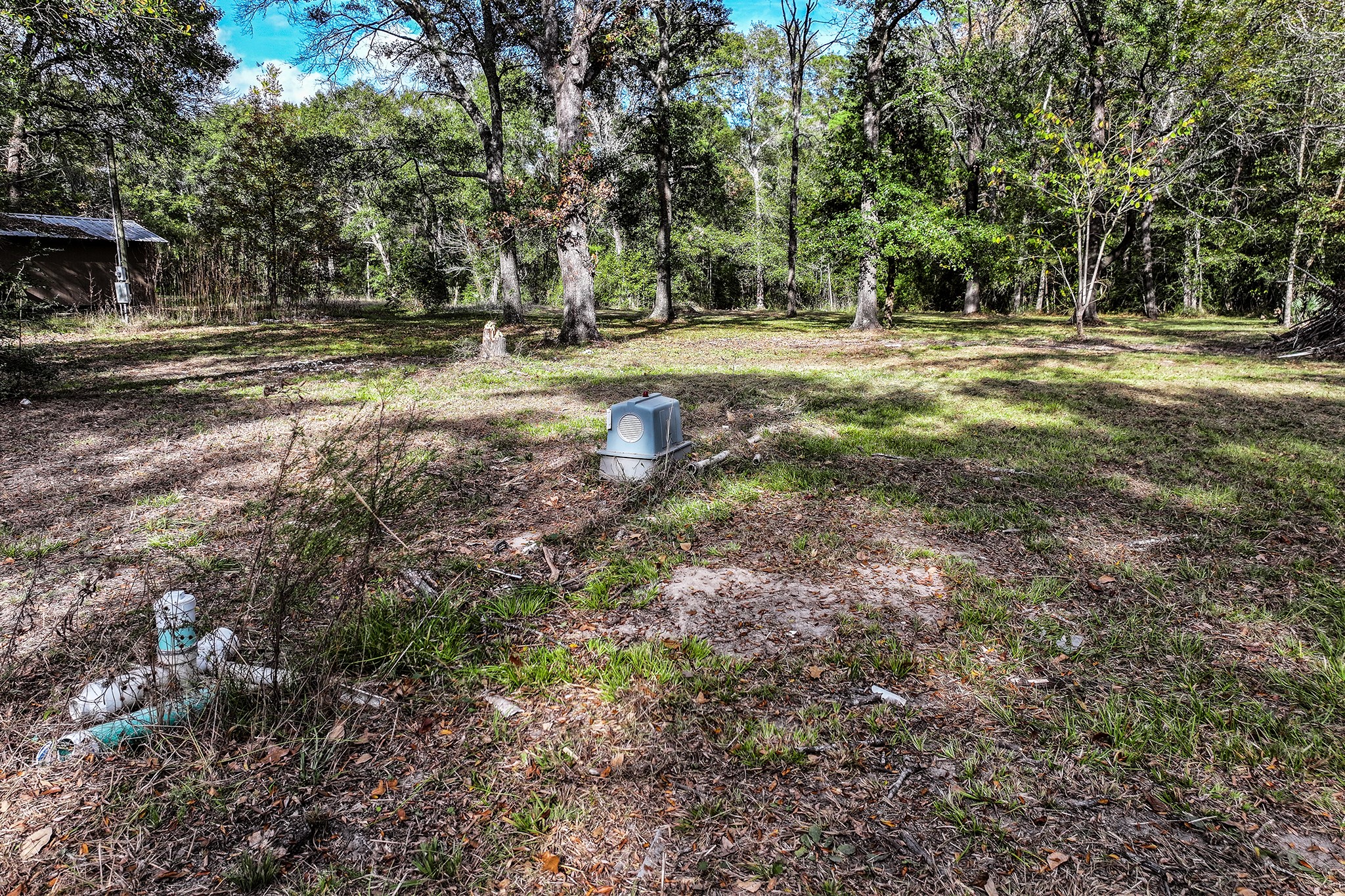 106 Roy Webb Road Huntsville, TX 77320 - Photo 3 of 23 a view of dirt yard with trees