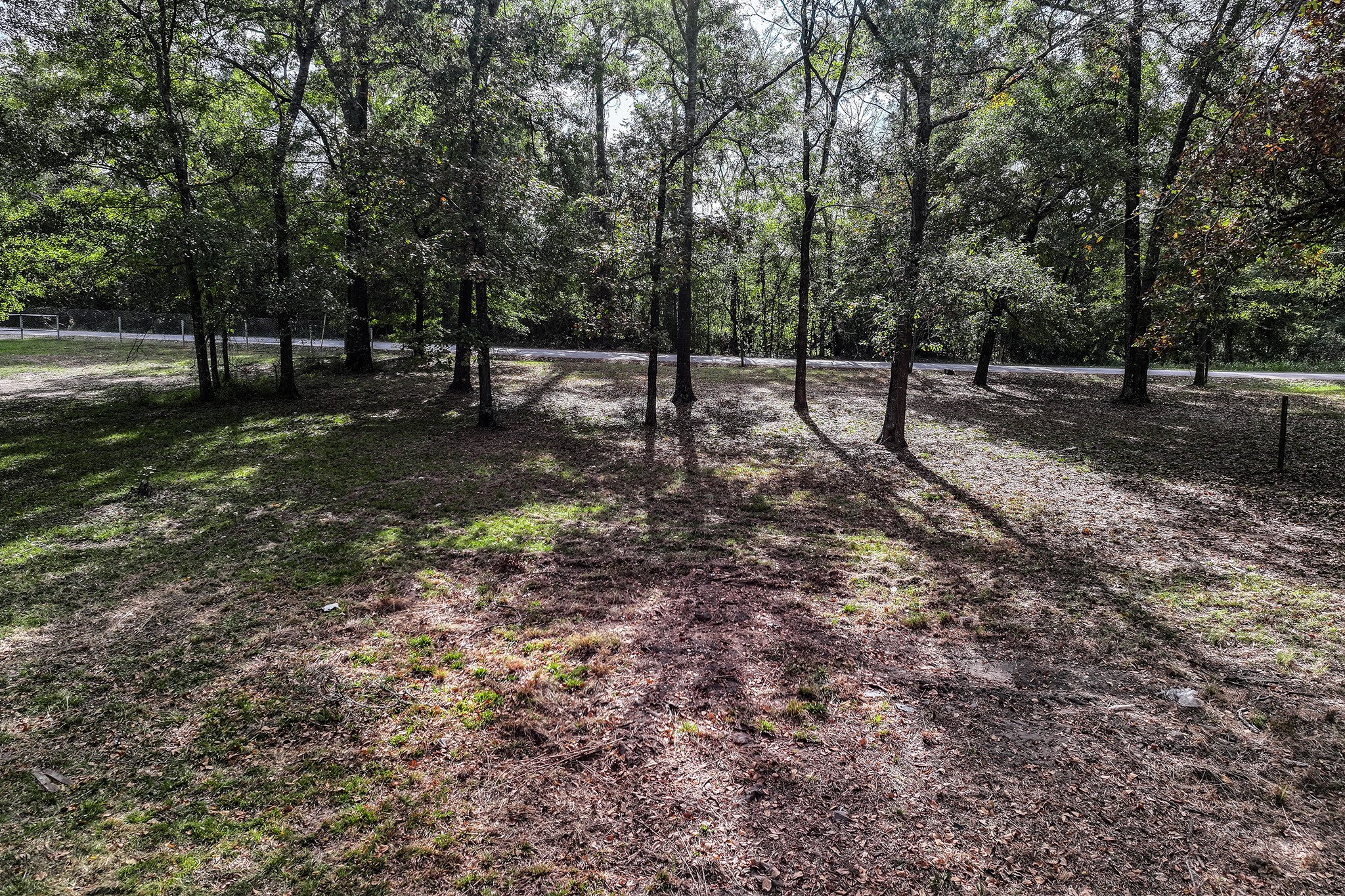106 Roy Webb Road Huntsville, TX 77320 - Photo 6 of 23 a view of park with green space