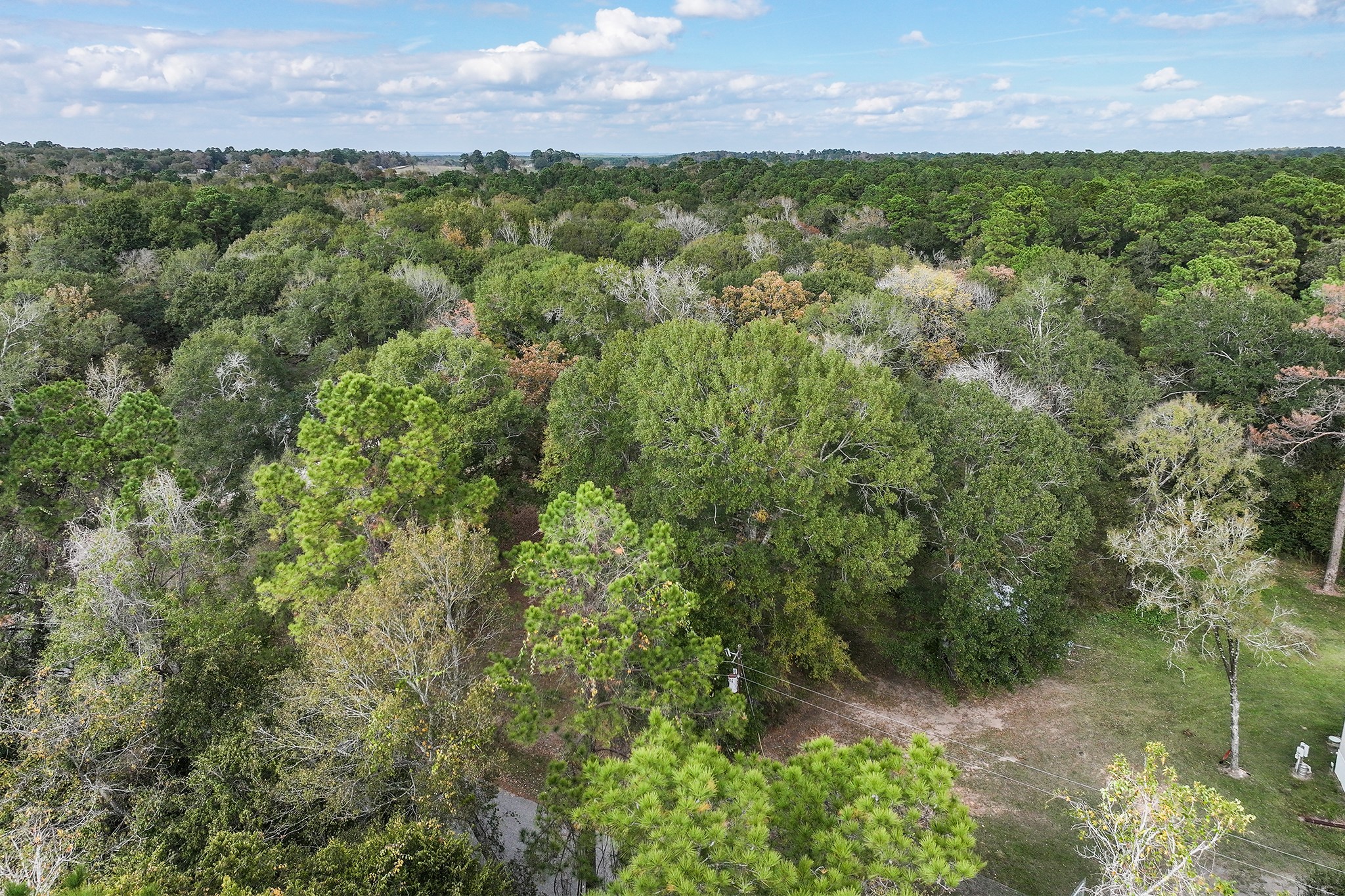 106 Roy Webb Road Huntsville, TX 77320 - Photo 7 of 23 a view of a yard with an outdoor space