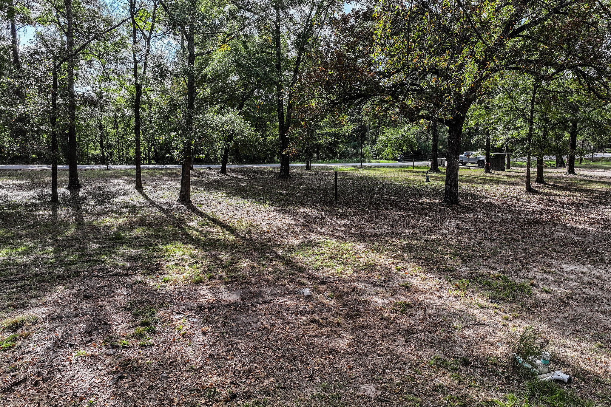106 Roy Webb Road Huntsville, TX 77320 - Photo 8 of 23 a view of outdoor space with trees