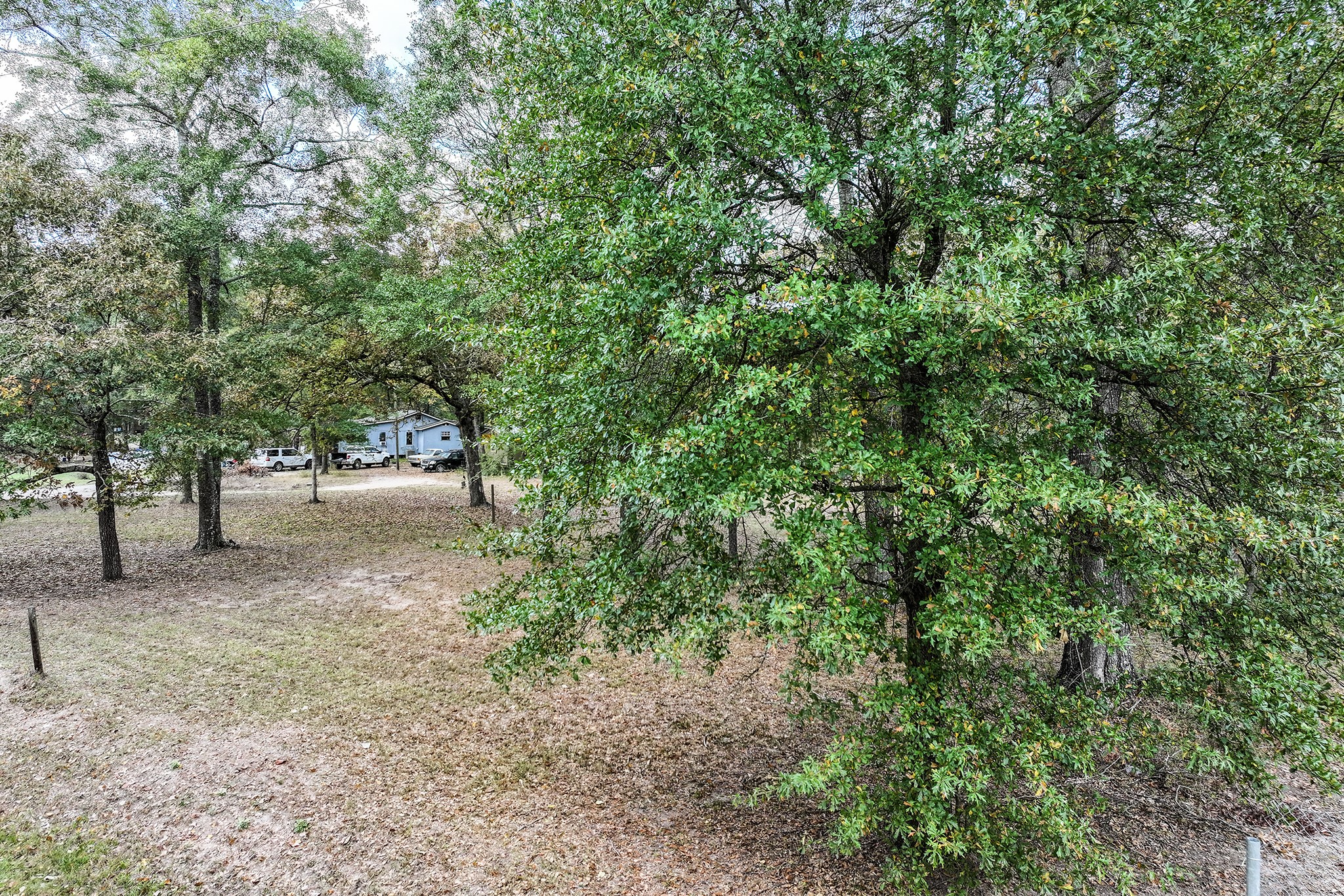 106 Roy Webb Road Huntsville, TX 77320 - Photo 9 of 23 a view of a forest with trees