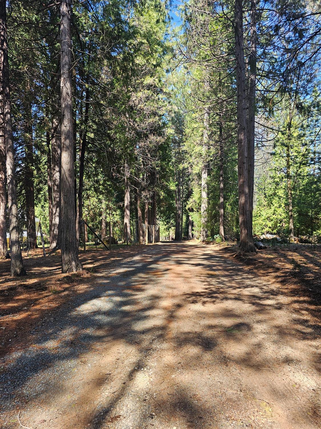 19344 Louis Road Grass Valley, CA 95945 - Photo 42 of 54