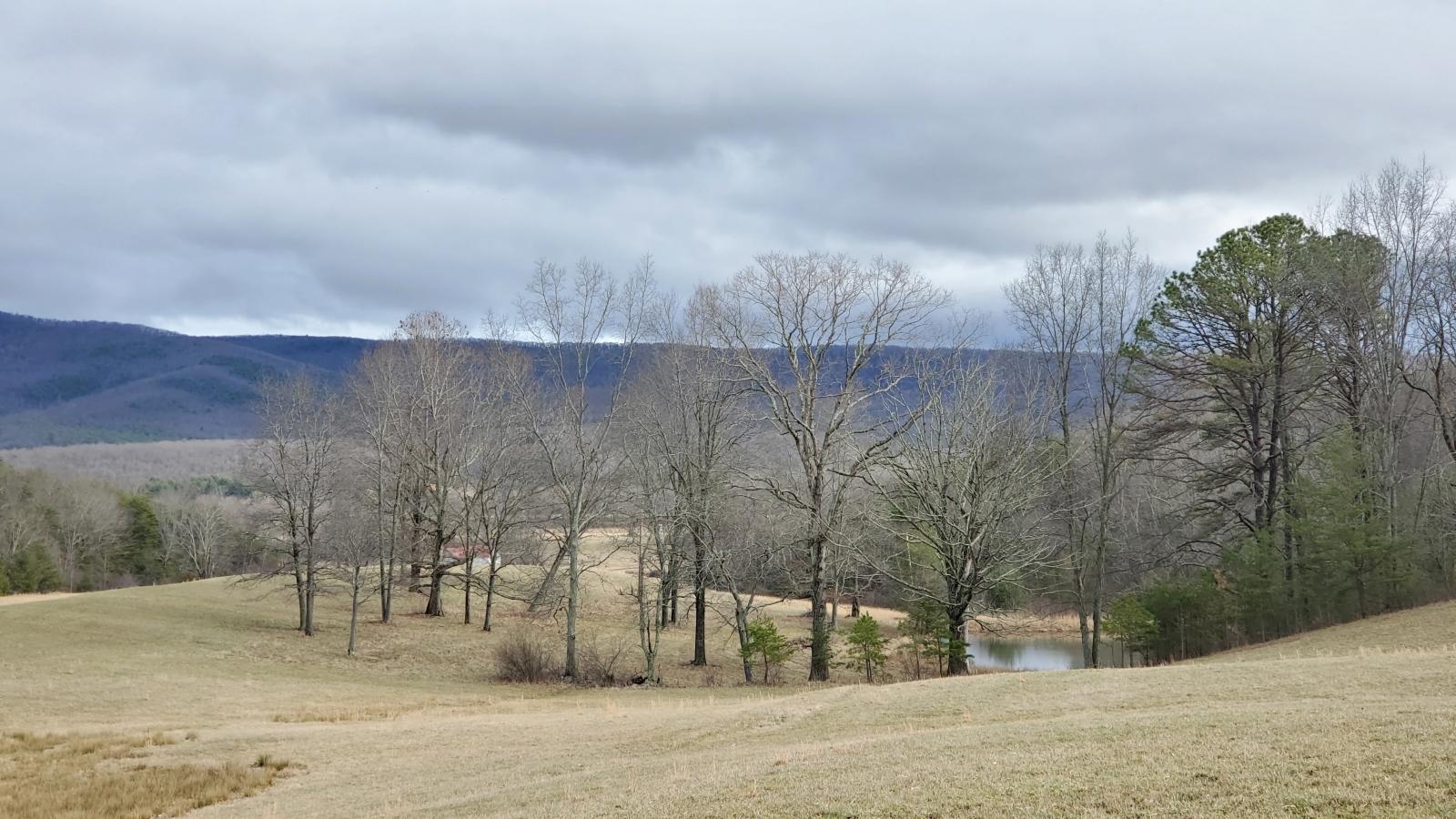 4656 Limestone Hill Road Waiteville, WV 24984 - Photo 19 of 37 Gallery Image 19
