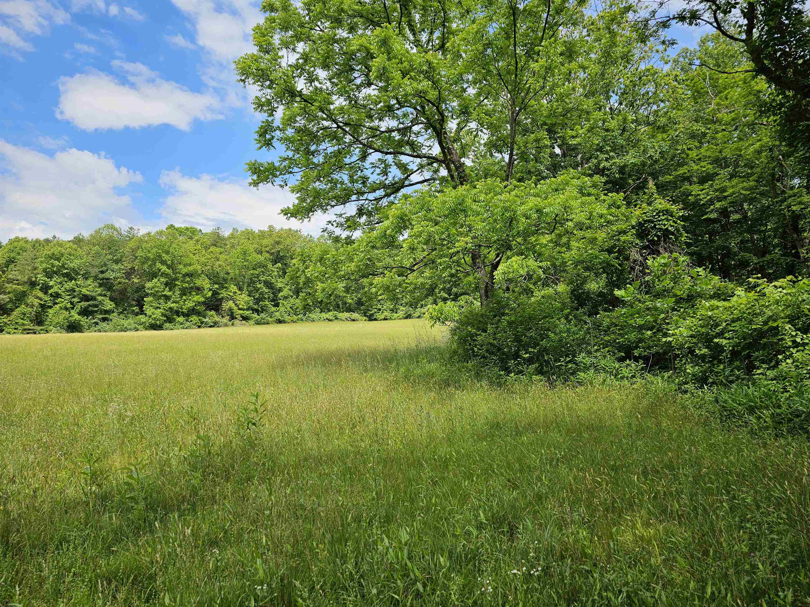 2105 Coles Mountain Road Covington, VA 24426 - Photo 35 of 66