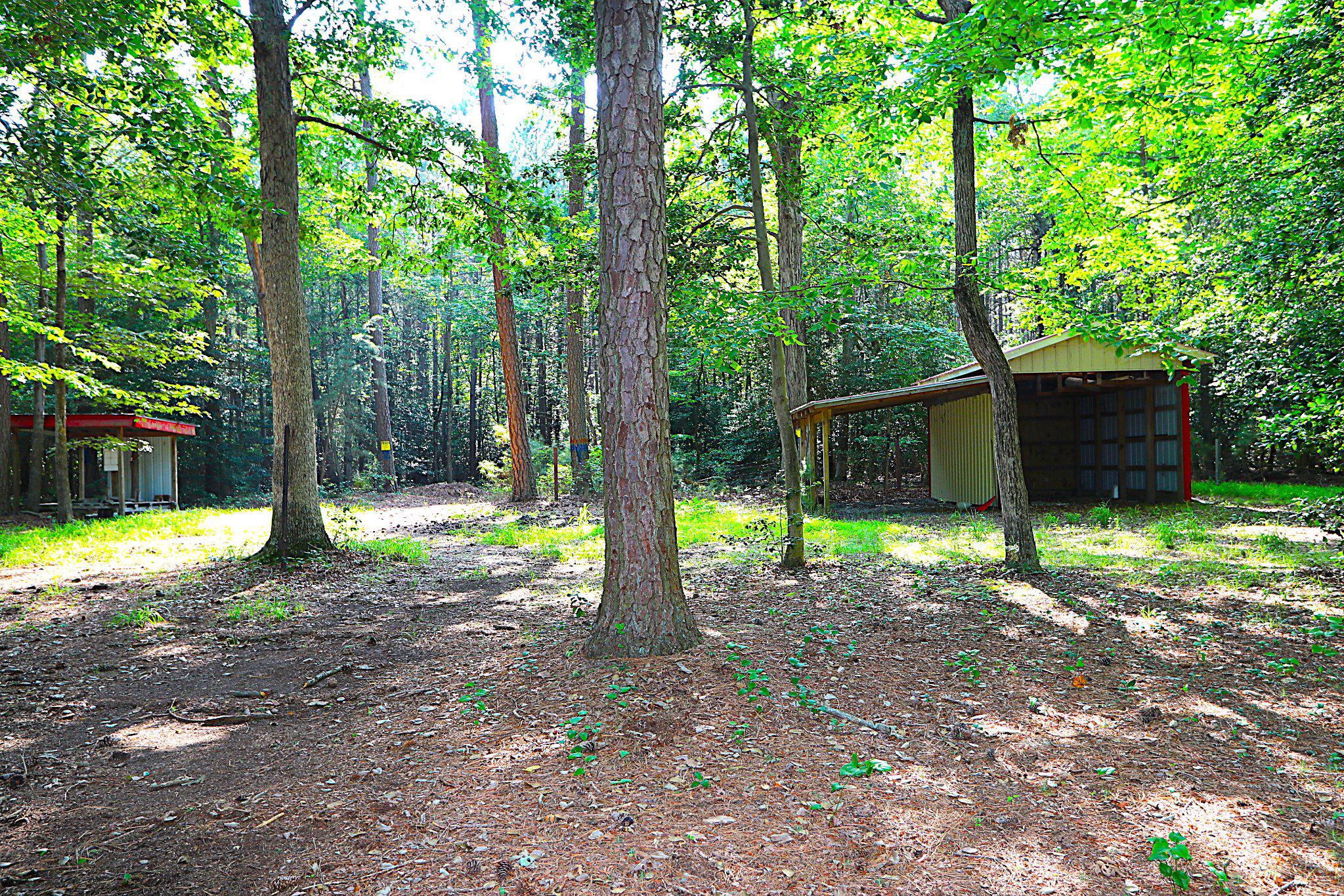 342 Wicomico Road Stevensville, MD 21666 - Photo 45 of 61 Natures beauty surrounds you