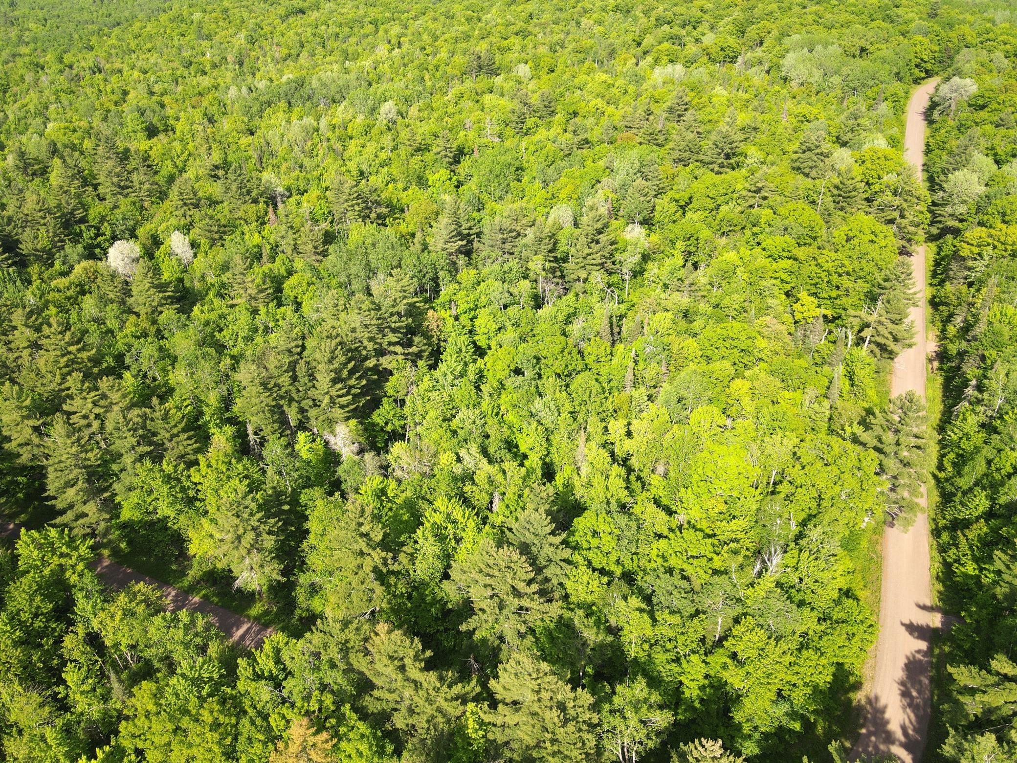 Tbd Smith Road Couderay, WI 54828 - Photo 18 of 23