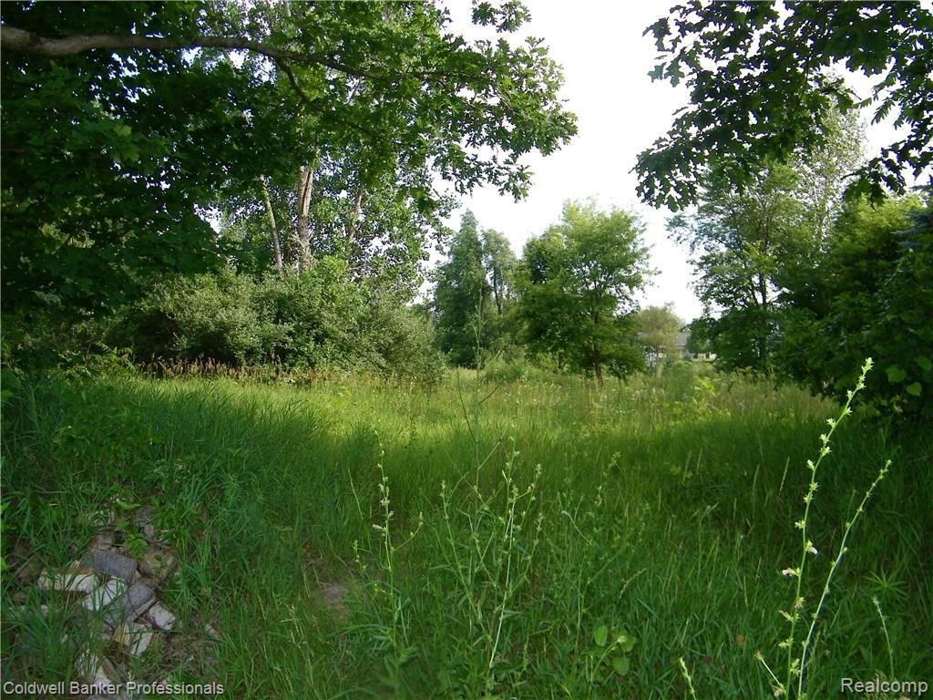 2 Martus Road North Branch, MI 48461 - Photo 3 of 8