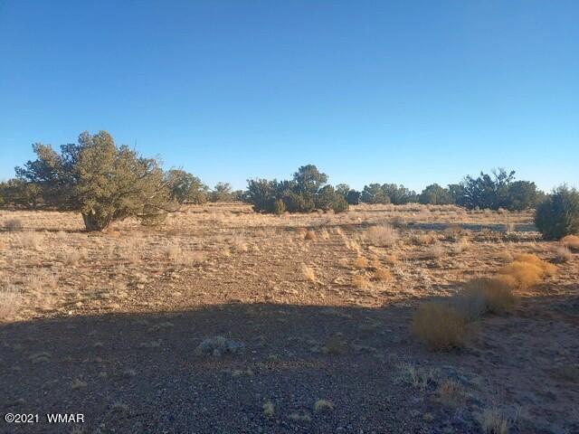 Lot 30 River Meadows Ranch Avenue, Unit 1 Eagar, AZ 85925 - Photo 11 of 24