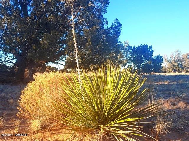 Lot 30 River Meadows Ranch Avenue, Unit 1 Eagar, AZ 85925 - Photo 12 of 24