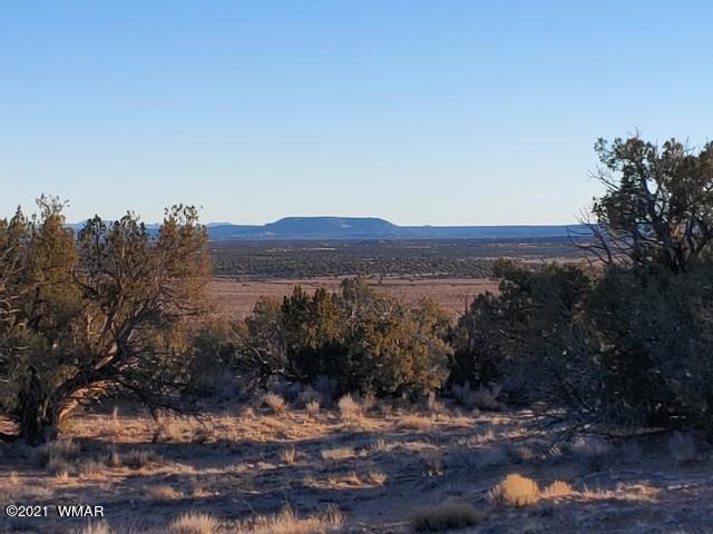 Lot 30 River Meadows Ranch Avenue, Unit 1 Eagar, AZ 85925 - Photo 13 of 24